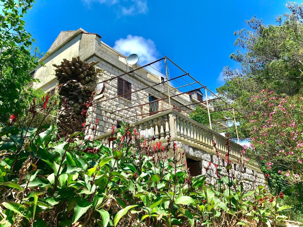 Villa Kralj Mljet Saplunara Exterior foto